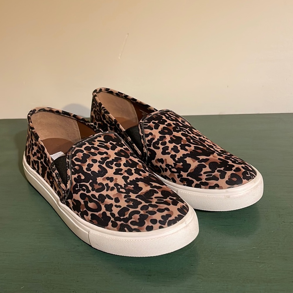 Steve Madden Sneakers